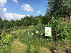 naturgarten-pienkenhof-03